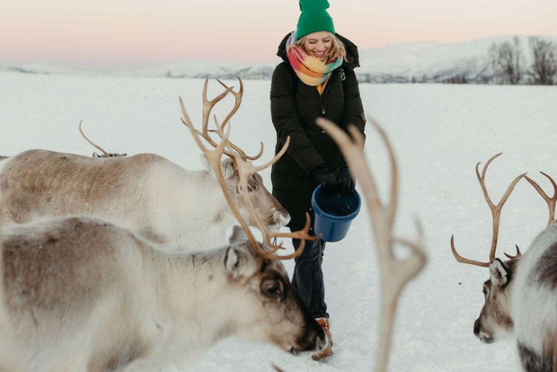 Tromsø: Renläger och samisk kulturtur med lunch