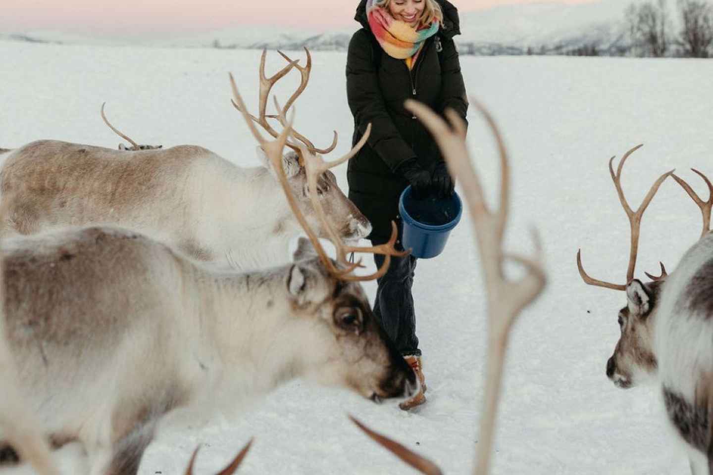 Tromsø: Tour Culturale Sami e Pranzo con Renne