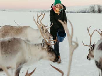 Reindeer camp + Sami culture, lunch included