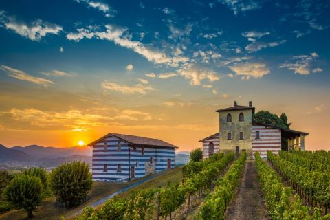 De Milão: experiência gastronômica e vinícola de dia inteiro em Franciacorta