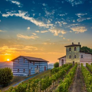 From Milan: Full-Day Food & Wine Experience in Franciacorta
