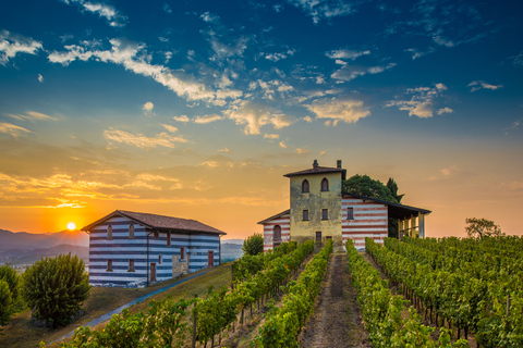 Z Mediolanu: całodniowe jedzenie i wino we Franciacorta