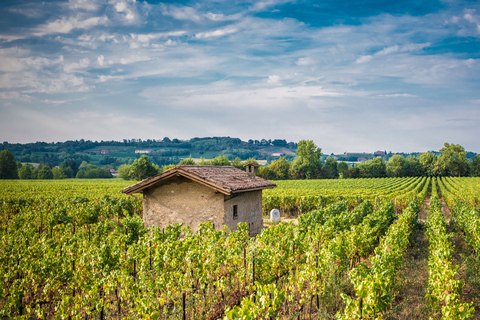 De Milan: expérience gastronomique et œnologique d'une journée à Franciacorta