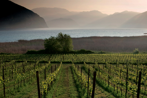 Z Mediolanu: całodniowe jedzenie i wino we Franciacorta