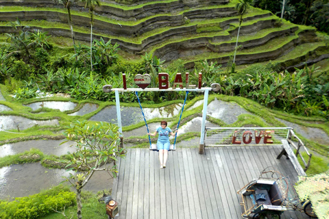 Ubud: Half-Day Tegallalang Electric Cycling Tour