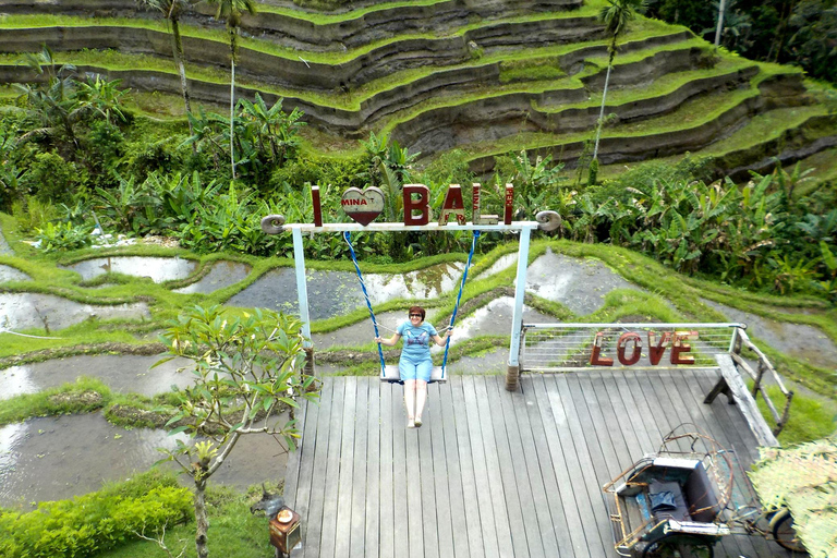 Ubud: Half-Day Tegallalang Electric Cycling Tour