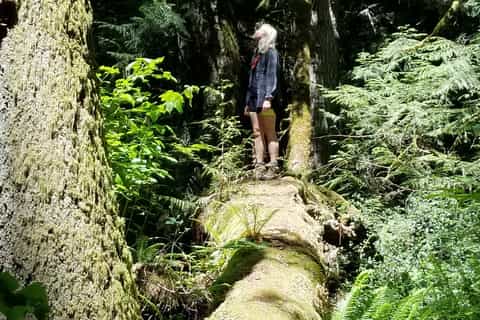 Victoria: Guided Nature Walking Tour in Francis King Park