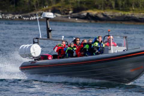 Tromso: RIB-Boat Excursion to Hella