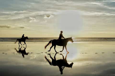Agadir: 2-Hour Horse Ride with Hammam and Argan Massage