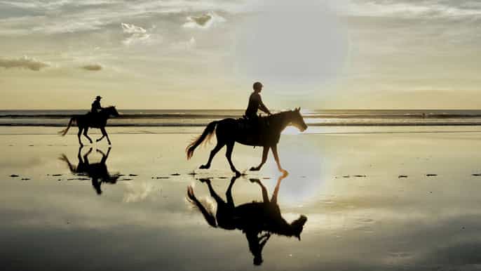 agadir 2hour horse ride with hammam and argan massage