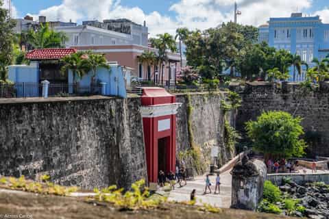 old san juan and bacardi distillery tour