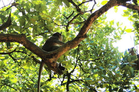 From Ho Chi Minh City: Monkey Island Excursion by Boat Private Tour