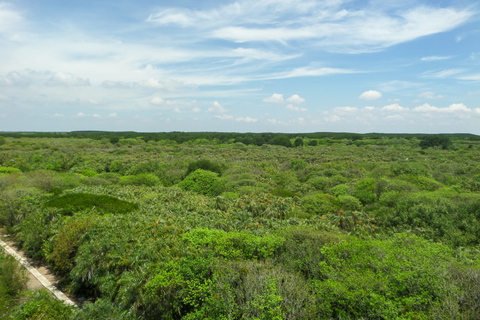 Ab Ho-Chi-Minh-Stadt: Bootstour zur Monkey IslandPrivate Tour