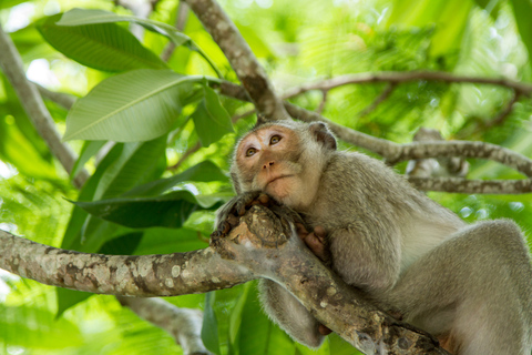 Från Ho Chi Minh-staden: Utflykt till Monkey Island med båtGruppresa (max 15 personer/grupp)