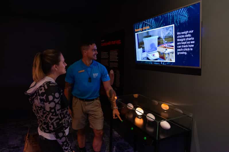 Rotorua The National Kiwi Hatchery Tour GetYourGuide
