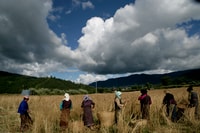 Bután, tour de 9 días por el Reino de Bután en todo el Himalaya - Hizvo