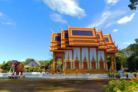 Khao Lak: Half-Day Temples and Old Town Tour