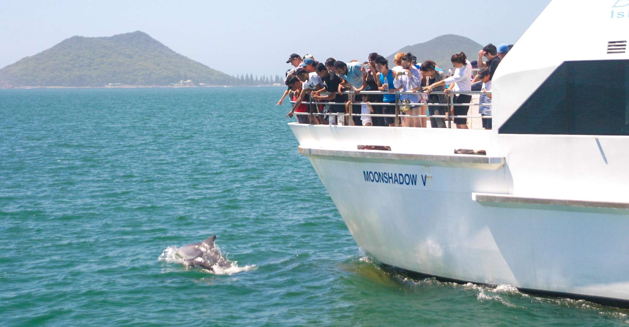 Port Stephens: Dolphin Cruise, Lunch, Koalas & Sandboarding