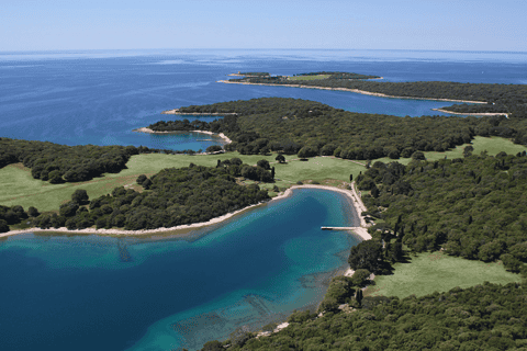 From Pula: Sunset Cruise with Dolphin Watching
