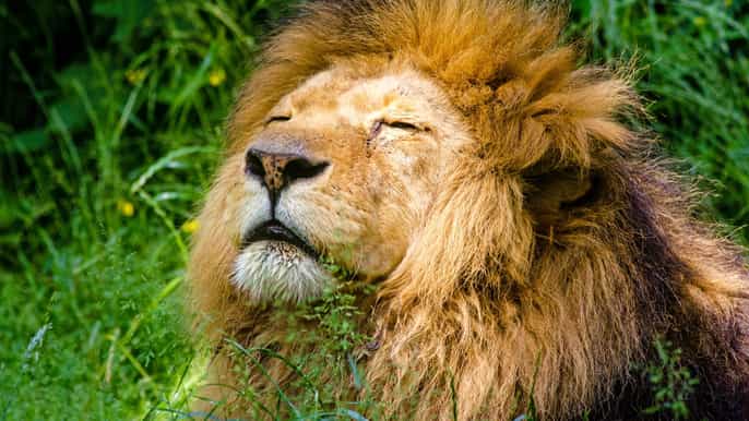 zoo de cracovie avec prise en charge à lhôtel