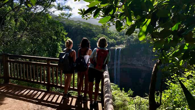 from chamarel waterfall ecohike adventure