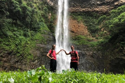 From Chamarel: Waterfall Eco-Hike Adventure