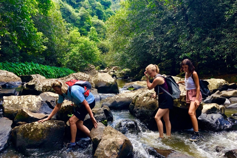 Desde Chamarel: Waterfall Eco-Hike Adventure