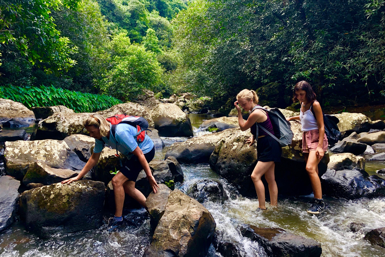 Desde Chamarel: Waterfall Eco-Hike Adventure