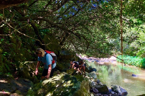 Van Chamarel: Waterfall Eco-Hike Adventure