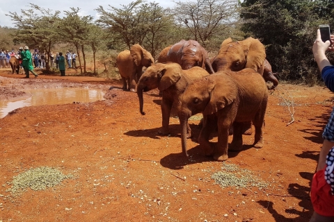 Desde Nairobi: excursión de un día al orfanato de elefantes y al centro de jirafasOrfanato de elefantes, jirafas, cuentas Kazuri y Bomas de Kenia