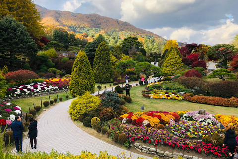 Seoul: Alpaca/Nami/Garden of Morning Calm Tour (+Rail Bike) Group Tour, Meet at Hongdae