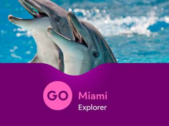 Go Miami Explorer Pass: über 28 Touren & Attraktionen Go Miami Explorer Pass: über 28 Touren & Attraktionen