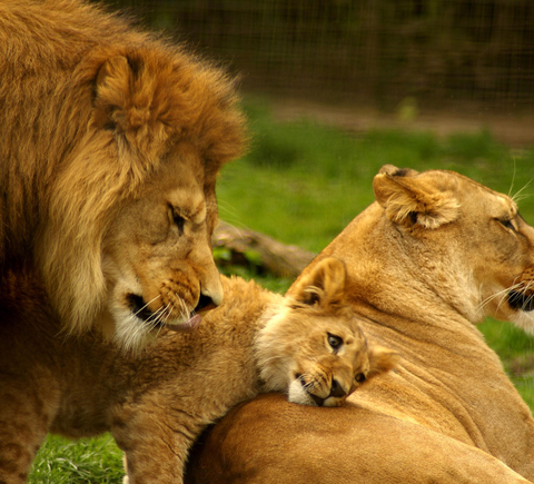 Zoos & aquariums