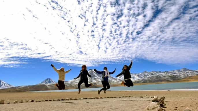 ab atacama altiplanolagunen und piedras rojas viptour