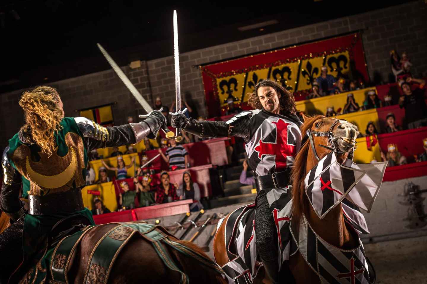 Orlando: Medieval Times Dinner and Show Ticket - Orlando: Medieval Times Dinner and Show Ticket