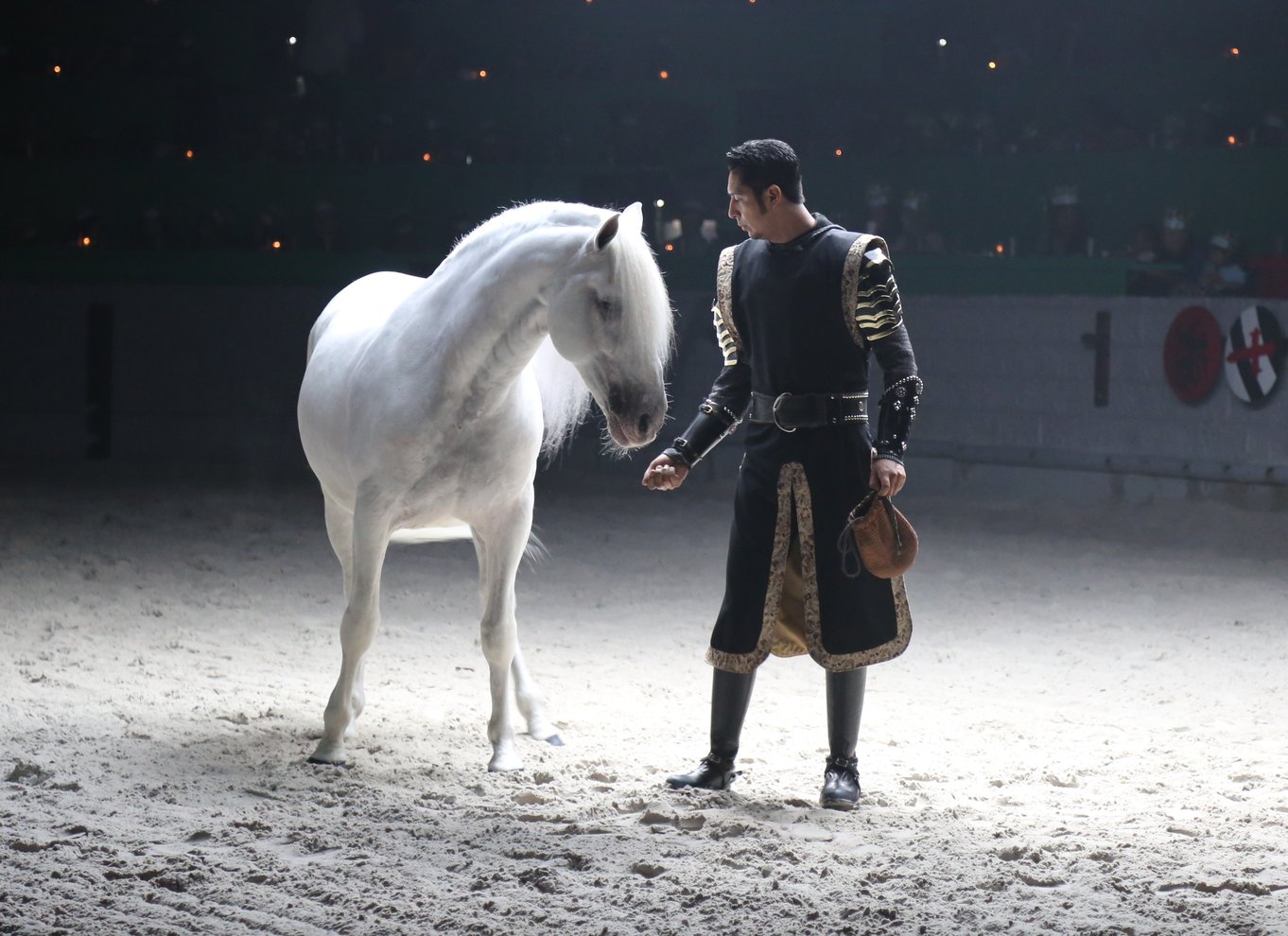 Orlando: Medieval Times Dinner and Show billet