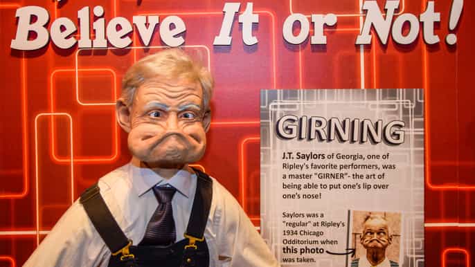 orlando ripleys believe it or not! admission ticket