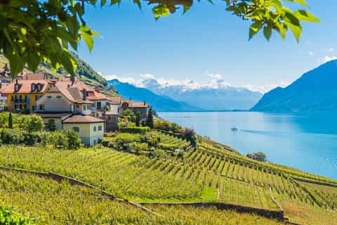 from lausanne lavaux panoramic tour