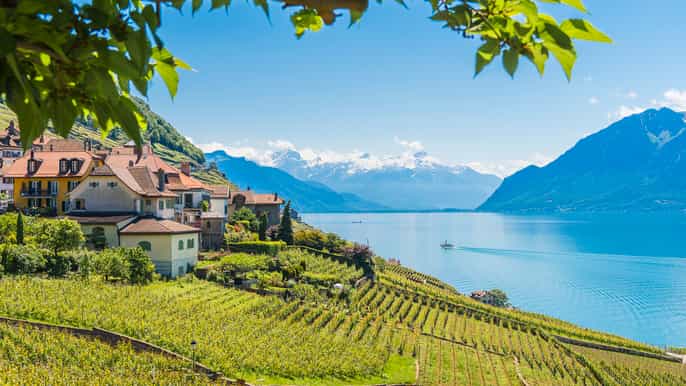 from lausanne lavaux panoramic tour