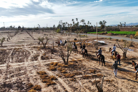Horseback riding in Marrakesh – An authentic experience in the heart of nature Horseback ride in Marrakech – An authentic experience in the heart of nature
