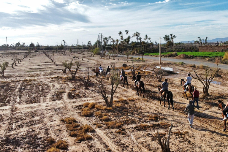 Horseback riding in Marrakesh – An authentic experience in the heart of nature Horseback ride in Marrakech – An authentic experience in the heart of nature