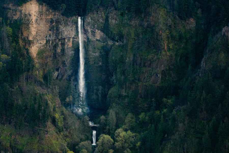 Portland: Private Multnomah Falls Tour. Foto: GetYourGuide