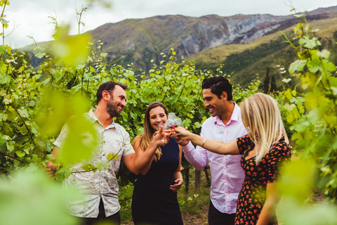 Queenstown : Tournée des vins et des bières artisanales au crépusculeQueenstown : Visite du vin et de la bière artisanale au crépuscule