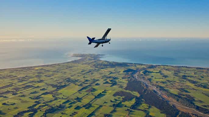 kaikoura 30minute whale watching flight
