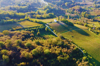 Avellino: Winery Tour with Wine Tasting and Local Foods