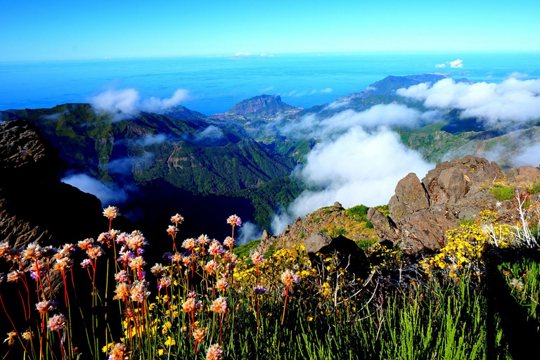 Funchal: Arieiro Peak, Nuns Valley 4x4 Tour & Dolphin Watch Funchal: Land and Sea Jeep Tour and Dolphin Watching