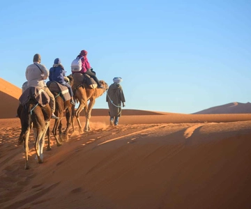 2-Day, 1-Night Desert Trip to Merzouga from Ouarzazate