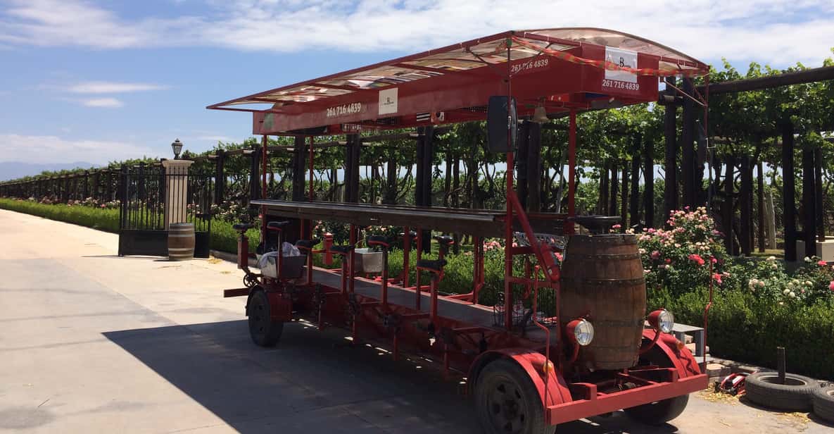 Mendoza: Winebike Tasting Tour with Optional Lunch