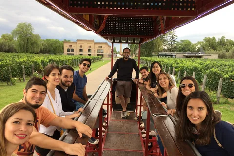Mendoza: Winebike Tasting Tour with Optional Lunch