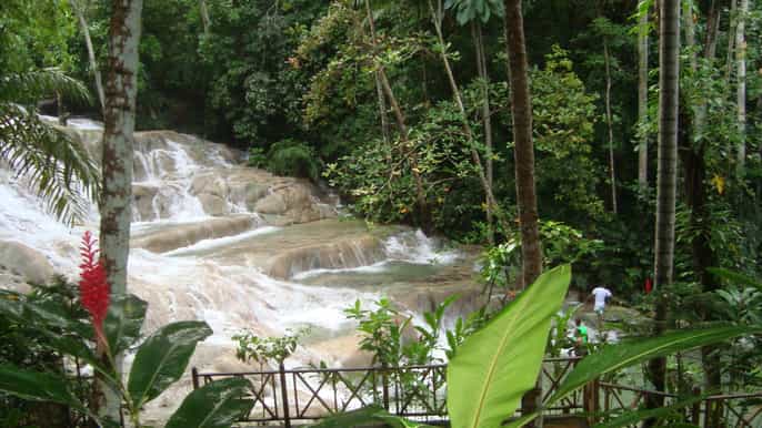 jamaica dunns river falls shore excursion from all ports